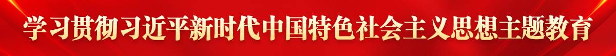 學(xué)習(xí)貫徹習(xí)近平新時(shí)代中國(guó)特色社會(huì)主義思想主題教育